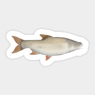 True big-scale tetra Sticker